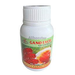 Gano Garcinia  120 120 Capsules Garcinia + Tamarin + Ganoderma