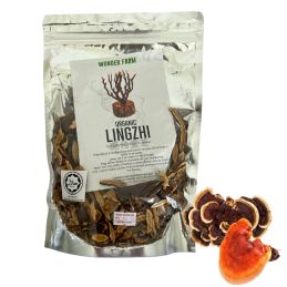 Madeira Ganoderma Lucidum seco - Lingzhi orgânico - 100g