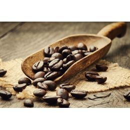 CEO Café - o cafea braziliană îmbogățită cu ciuperci Ganoderma Yung Kien și ulei de nucă de cocos