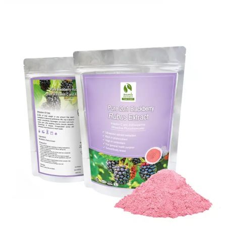 Mature (Rubus fruticosus) - Powder of concentrated extract