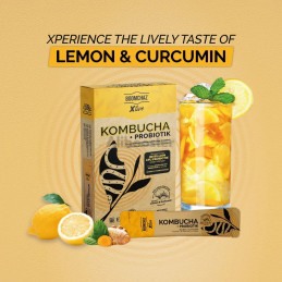 kombucha + probiotics 5 sachets de 5g