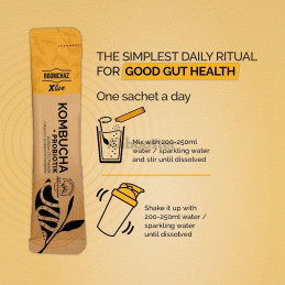 kombucha + probiotics 5 sachets de 5g