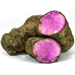 Ube Winged yam pulver (dioscorea alata) 200g