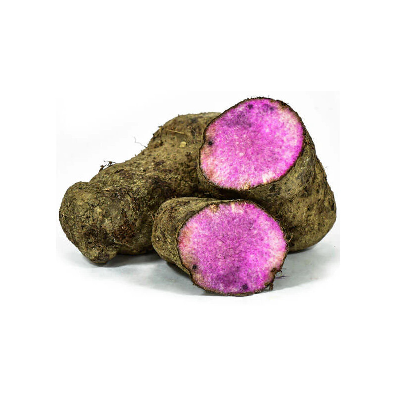 Ignam alado em pó (Ube Purple Yam - Dioscorea alata)