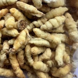 Kwong Si Cordyceps 100g