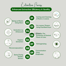 Pandan Leaf Extract Liquid - 80g