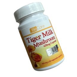 Testa di rinoceronte del fungo del latte della tigre - Tiger Milk