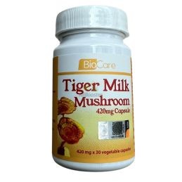 Cabeça de rinoceronte com cogumelo de leite de tigre - Tiger Milk