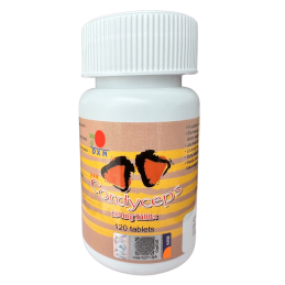 DXN Svamp Cordyceps - 120 tabletter på 300 mg