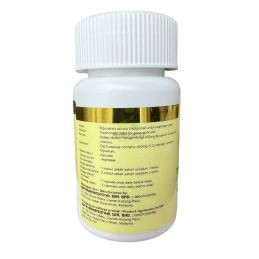 DXN Grzyby Cordyceps - 60 kapsułek 450 mg