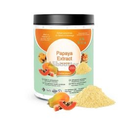 Papaya poeder - gestandaardiseerd fruitextract (carica papaya)