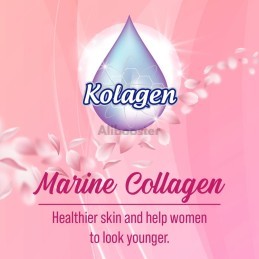 Café Kacip Fatimah e colagénio - Bebida tradicional da Malásia para mulheres - 20 saquetas de 20g