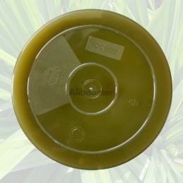 Pandan Kaya Pasta 1kg - Traditionele Maleisische Jam