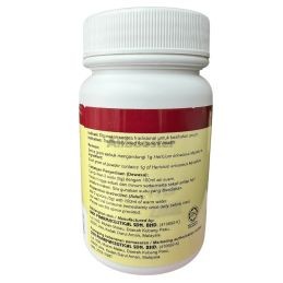 DXN Mushroom Lion's Mane Polvo 30g