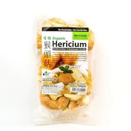 Pilz Löwenmähne Mane 100g - Hericium Erinaceus Natural
