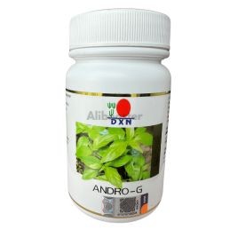 DXN Andrographis paniculata...