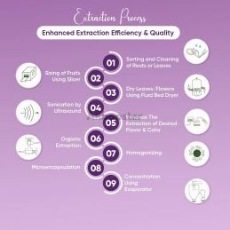 Extrait Liquide Ube Purple Yam 80g