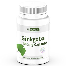 Ginkgo Biloba - 30 capsules x 480mg