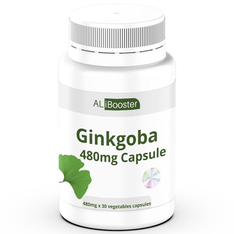 Ginkgo Biloba - 30 cápsulas x 480mg