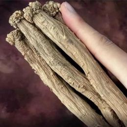 Codonopsis pilosula seca - Ginseng dos pobres - Raízes inteiras de primeira qualidade - Dang Shen du Gansu