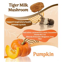 Multi-graan en pompoen mix met melktijgerpadden Tiger Milk Mushroom. 450 gram