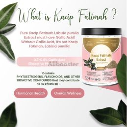 Poudre de Kacip Fatimah - 50 g - Extrait naturel de Labisia pumila