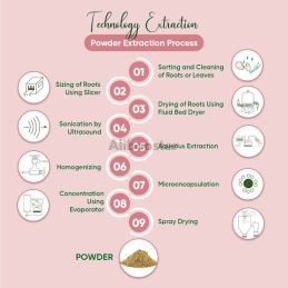 Poudre de Kacip Fatimah - 50 g - Extrait naturel de Labisia pumila