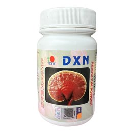 DXN Reishilium - Pó Ganoderma lucidum Mycelium + corpo de cogumelos
