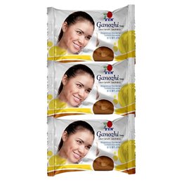 Dentifrice Ganozhi Plus mushroom reishi ganoderma