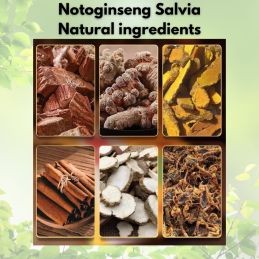 20 Ginseng-Pflaster - Notoginseng Salvia - Zur Linderung von Schmerzen - Gold Red Ginseng