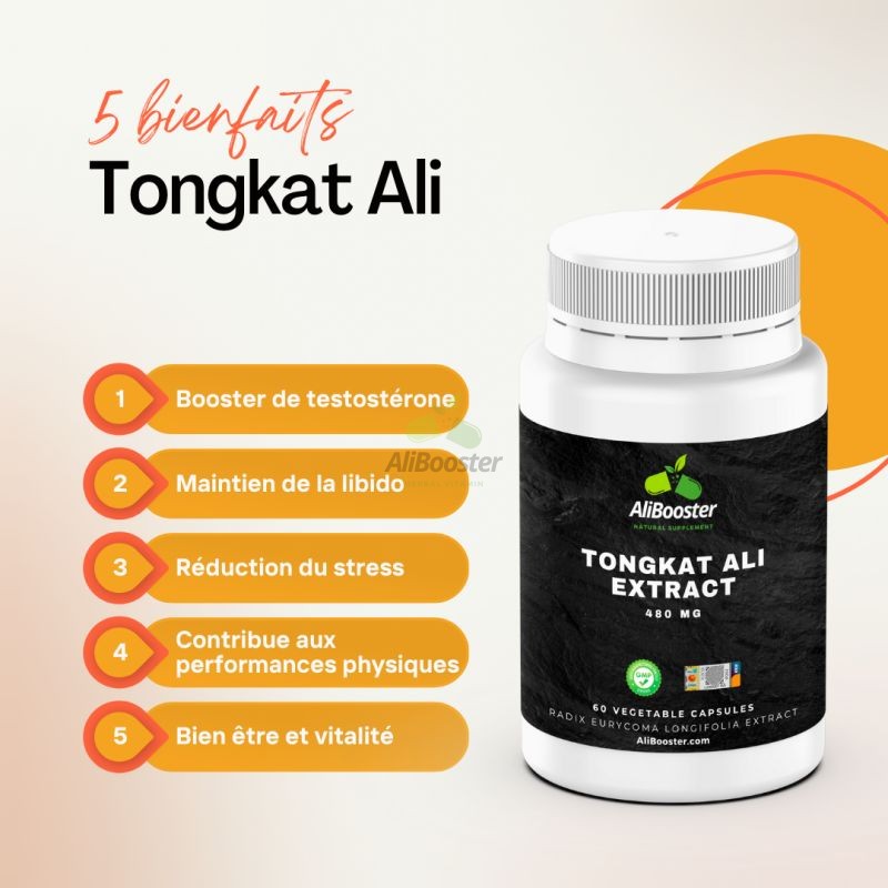 Tongkat ali les bienfaits et avantages