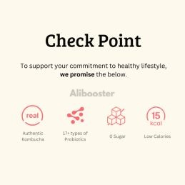 Kombucha Zaksimlab 10x5g - επίπεδη γεύση ροδάκινο χωρίς ζάχαρη