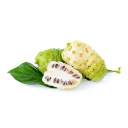 The benefits of the noni