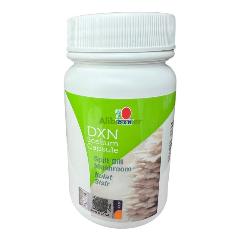 DXN Scelium Schizophyllum Split Gill Sugikikurage