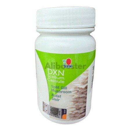 DXN Scelium Schizophyllum Split Gill Sugikikurage