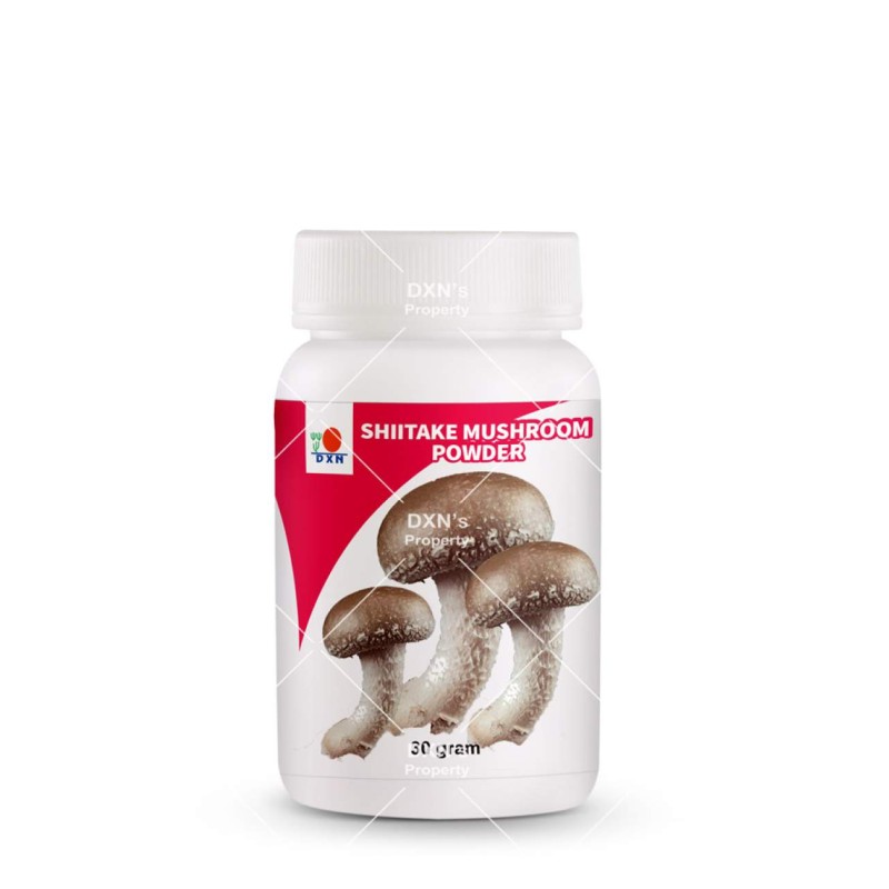 DXN Shiitake svamp - Oak Mushroom