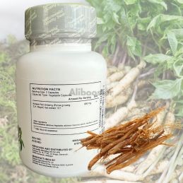 Extrait de Ginseng Panax