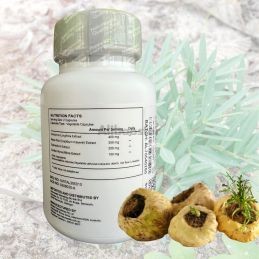 Tongkat Ali con radice Maca