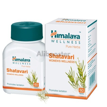 Shatavari Γυναικεία ευεξία Asparagus racemosus