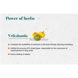 Vrikshamla Garcinia Cambogia