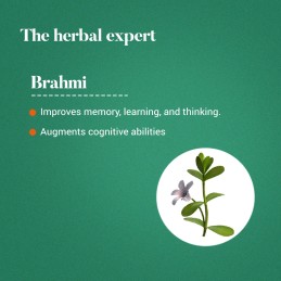 Brahmi - extract de Bacopa monnieri 250 mg