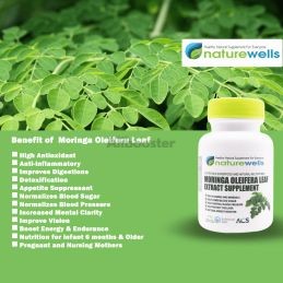 Εκχύλισμα φύλλων Moringa Oleifera