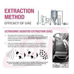 Kacip Fatimah - Extract de Labisia Pumilia - 60 capsule 500mg