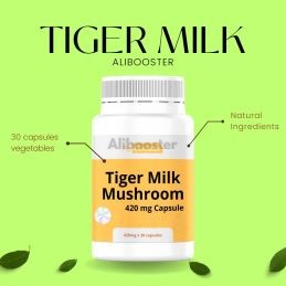 Mushroom Lignosus Tiger Milk - Testa di Rhinocero - Tiger Milk