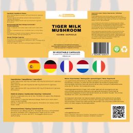 Pilz Lignosus Tiger Milk - Rhinocero Head - Tiger Milk