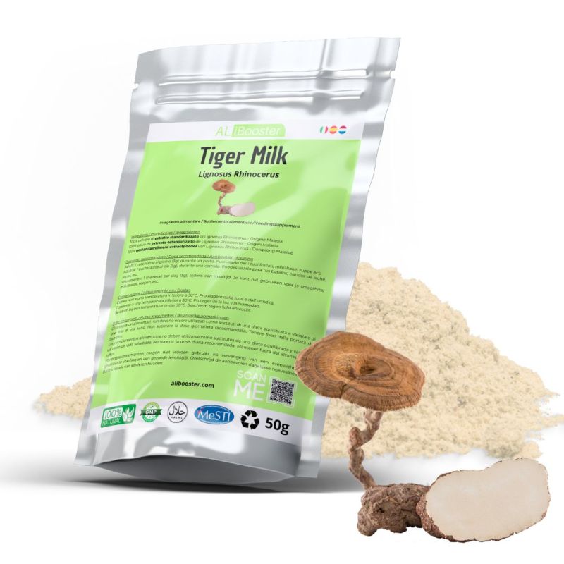 Fungo di polvere Lignosus rhinocerus - Latte Tigre - Tiger Milk (50g)