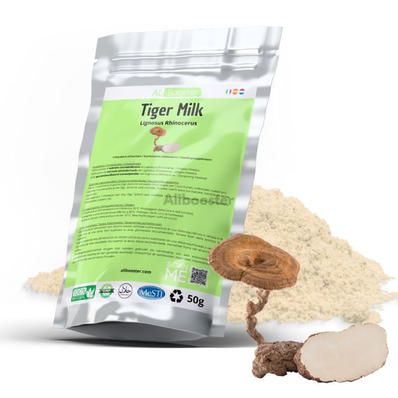 Lignosus rhinocerus-svampepulver- Tiger Milk 50 g