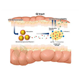 Liposomal C-vitamin + standard corossol ekstraktpulver 150 g