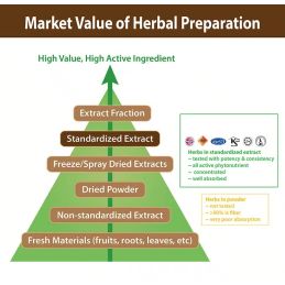 Fermenteret sort hvidløg ((Allium sativum L.) - 100 g standardiseret ekstraktpulver - S-Allyl SAC