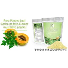 Feuille de papaye (Carica papaya) - 100g Poudre d'extrait standardisé - Papaïne